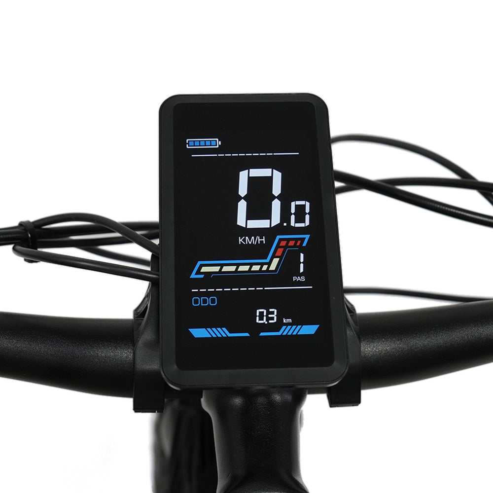 VAKOLE CO26 Electric Mountain Bike